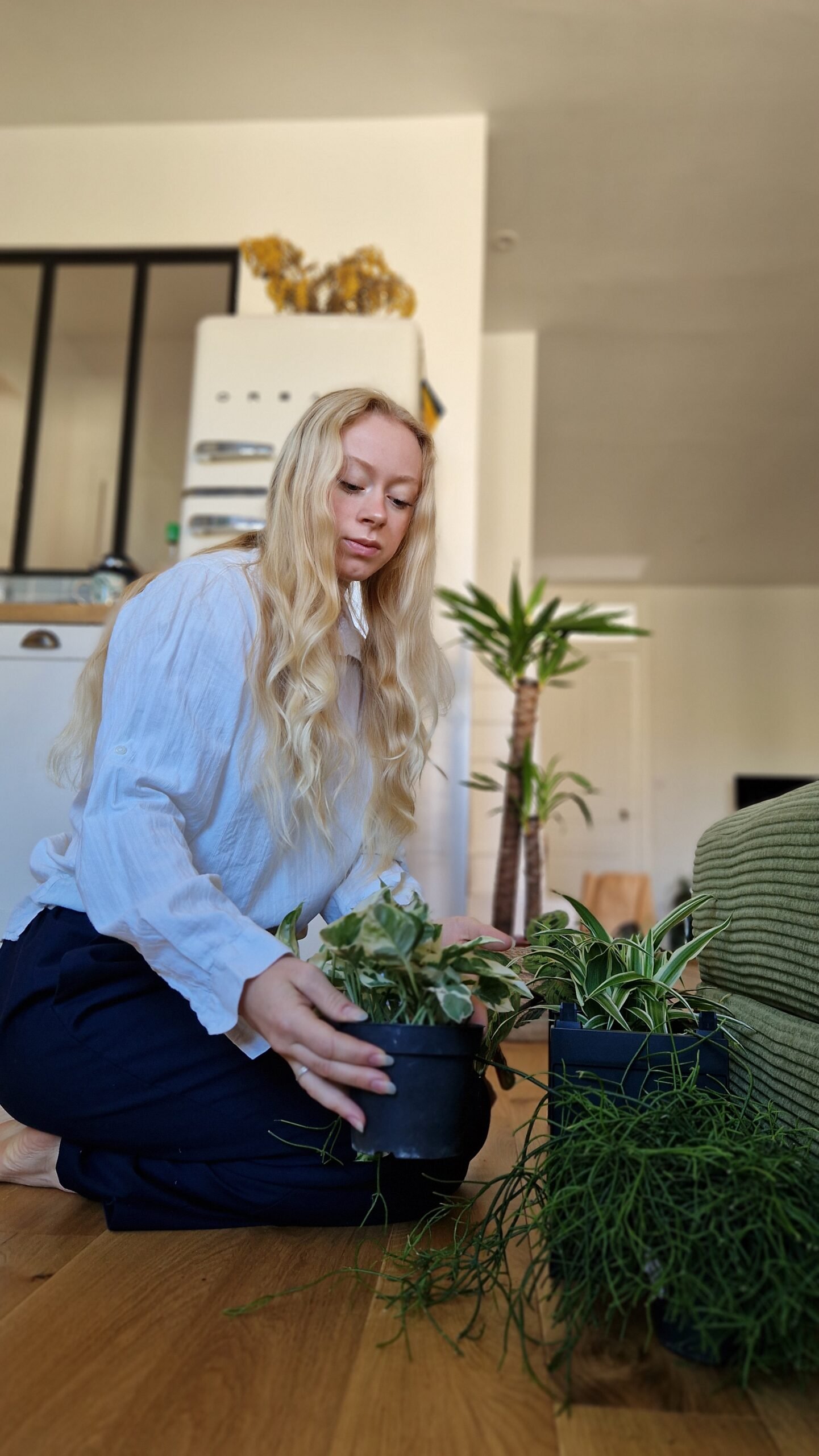 mise en place des plantes dans le pot des murs vegetal