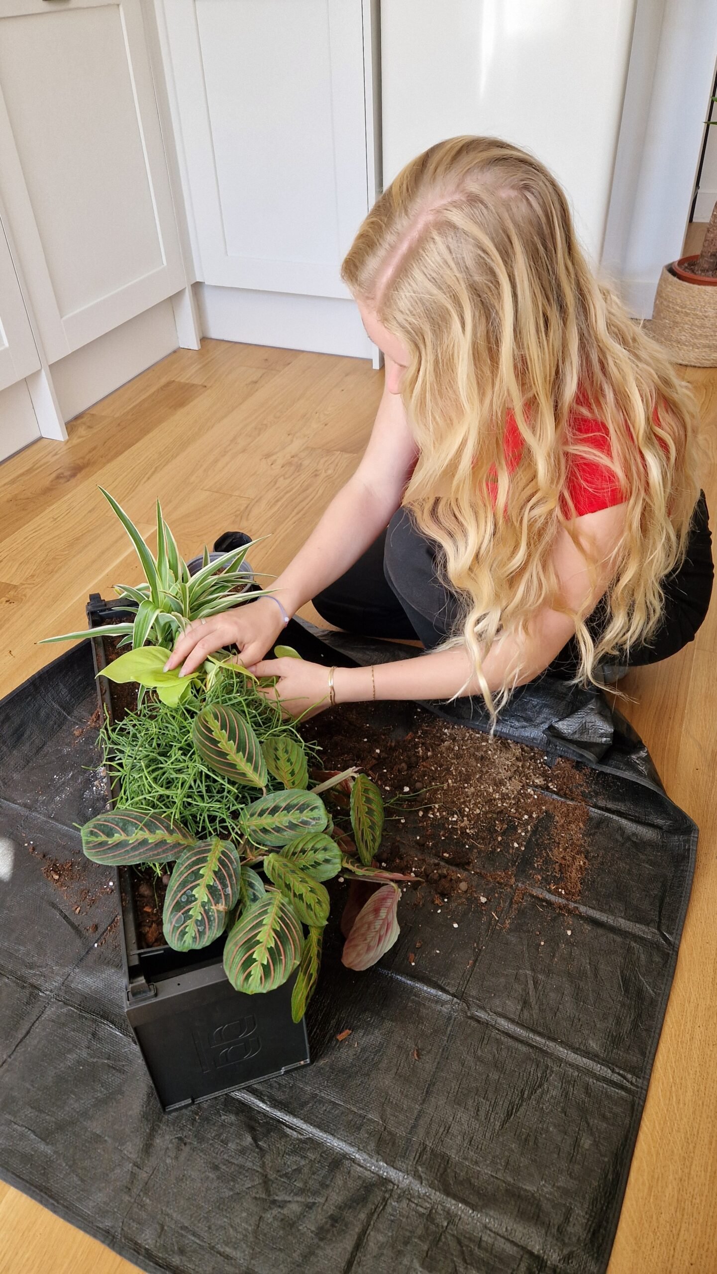 Installation de plantes en pot pour mur végétal - Andréa Reverdit Lyon